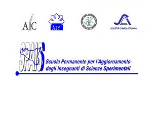 LOGO SPAIS 2013.jpg